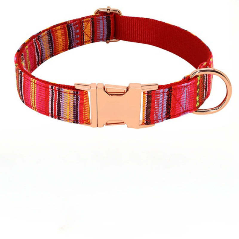 Personalized Nylon Collar For Dogs-Ziggy Dog Training Collar