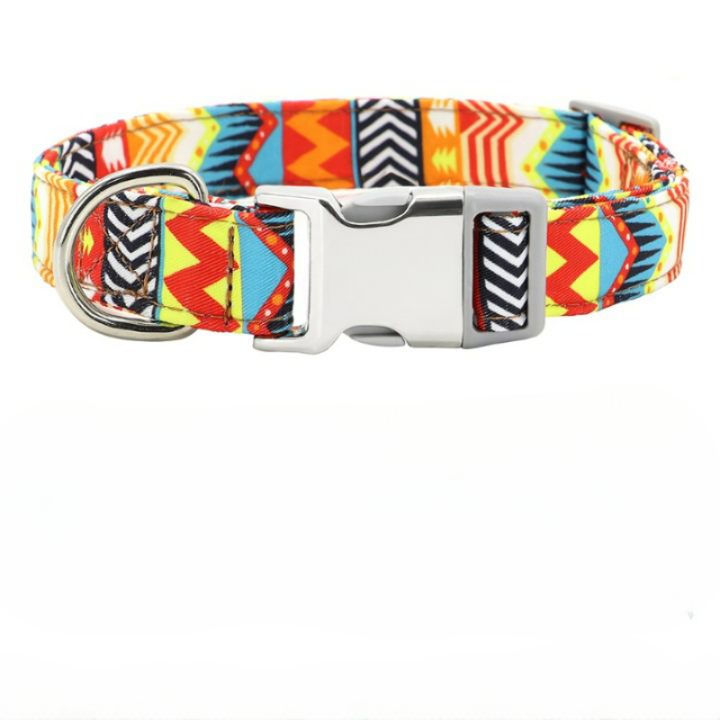 Pet Collar For Dogs-Ziggy Dog Training Collar