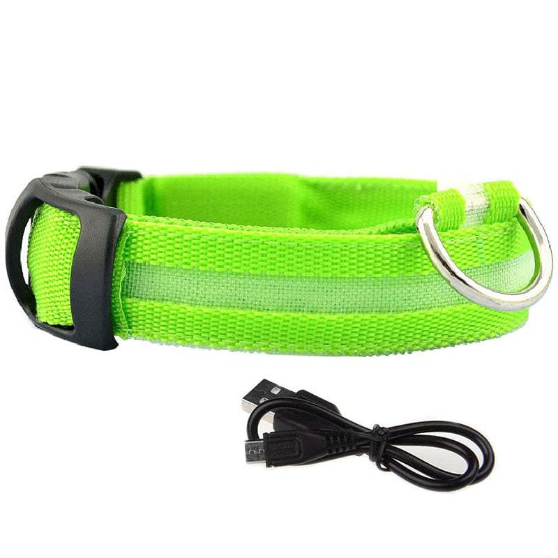 LED Glowing Rechargeable Dog Collars-Ziggy Dog Training Collar