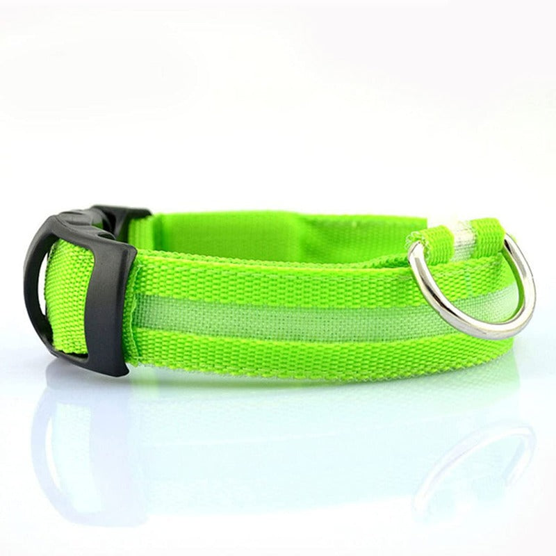 LED Glowing Rechargeable Dog Collars-Ziggy Dog Training Collar