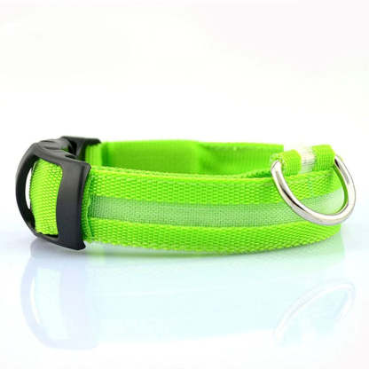 LED Glowing Rechargeable Dog Collars-Ziggy Dog Training Collar