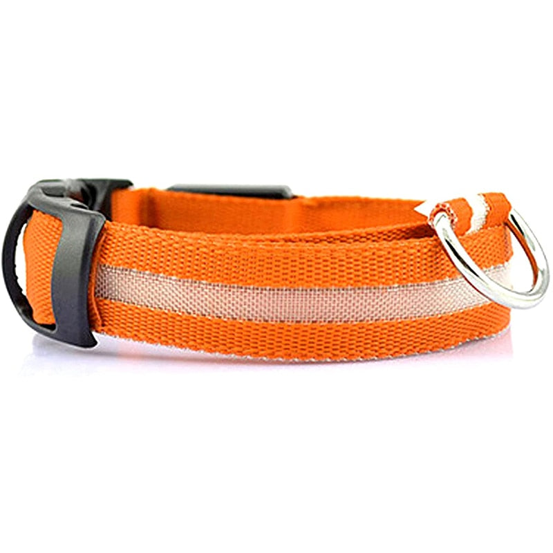 LED Glowing Rechargeable Dog Collars-Ziggy Dog Training Collar