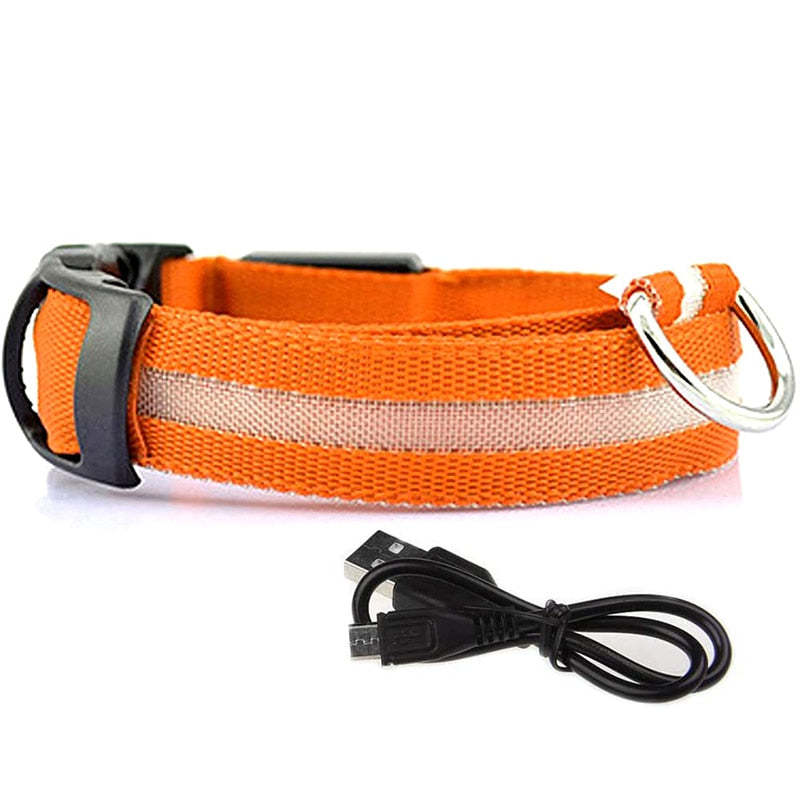LED Glowing Rechargeable Dog Collars-Ziggy Dog Training Collar