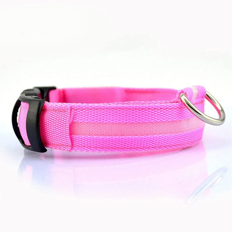 LED Glowing Rechargeable Dog Collars-Ziggy Dog Training Collar