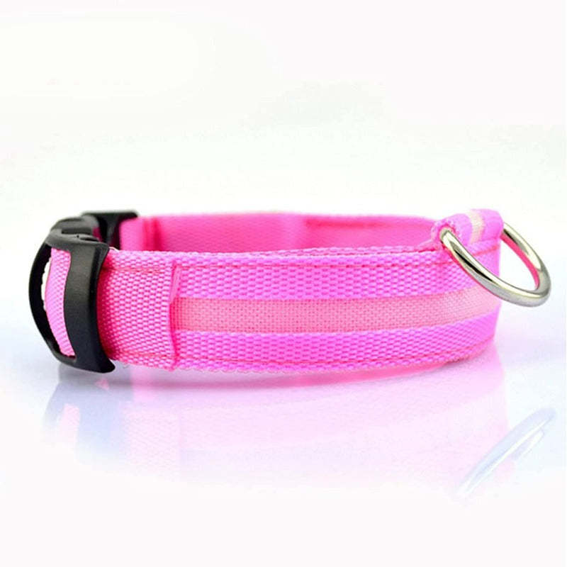 LED Glowing Rechargeable Dog Collars-Ziggy Dog Training Collar