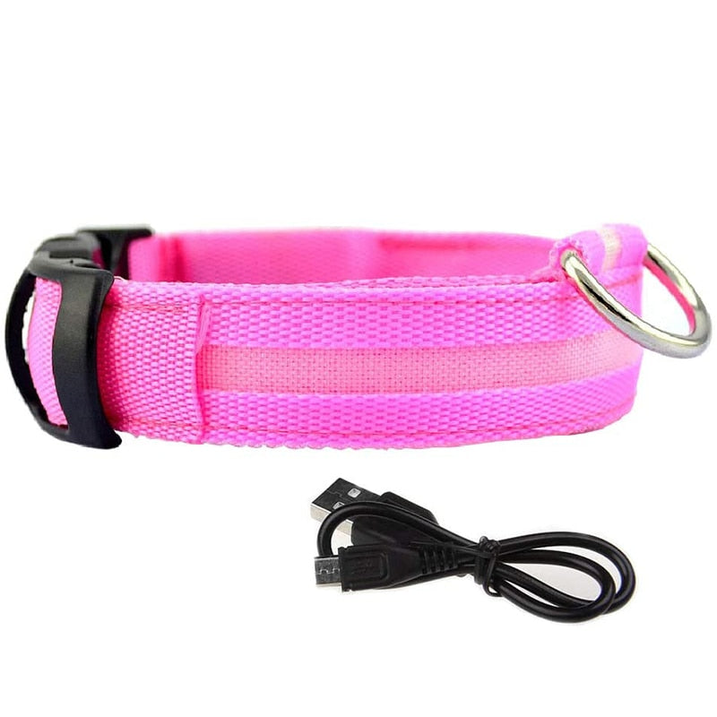 LED Glowing Rechargeable Dog Collars-Ziggy Dog Training Collar