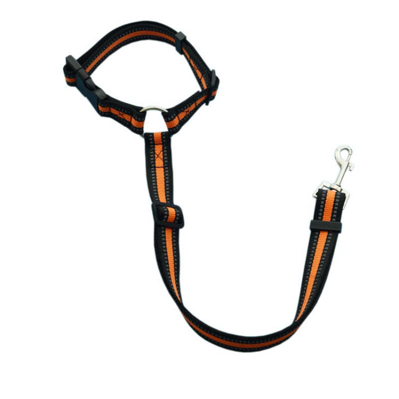 Adjustable Nylon Lead Leash Reflective Seat Belt-Ziggy Dog Training Collar