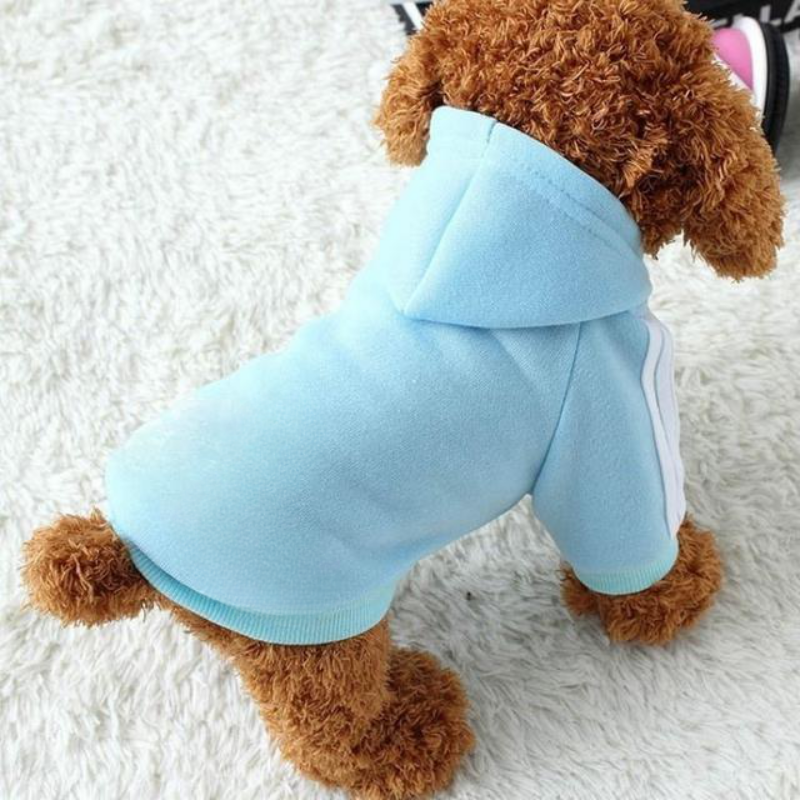 Warm Hoodies Clothes For Pet-Ziggy Dog Training Collar