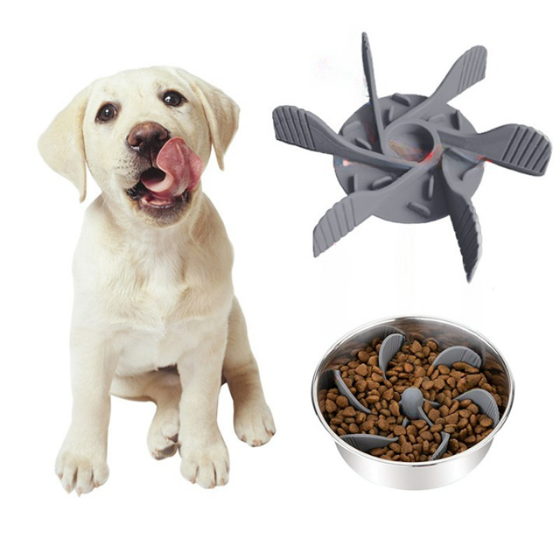 Eating And Licking Suction Cups-Ziggy Dog Training Collar