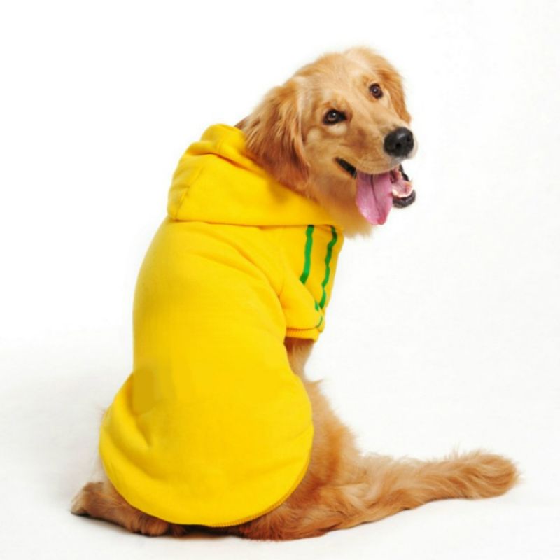 Warm Hoodies Clothes For Pet-Ziggy Dog Training Collar