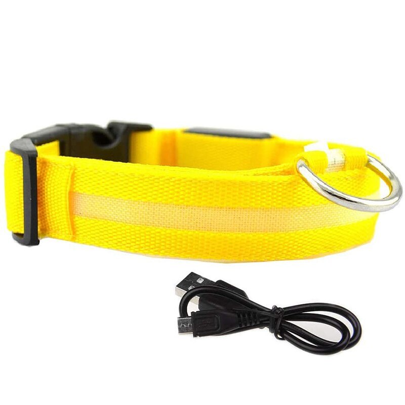 LED Glowing Rechargeable Dog Collars-Ziggy Dog Training Collar