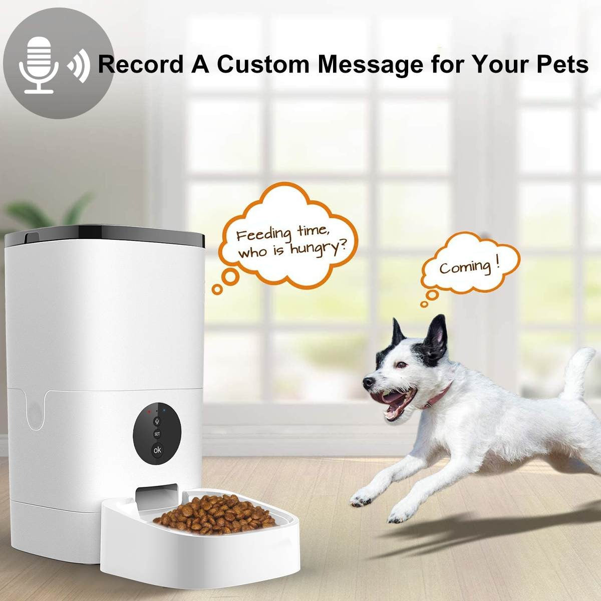 Automatic Pet Feeder Smart-Ziggy Dog Training Collar
