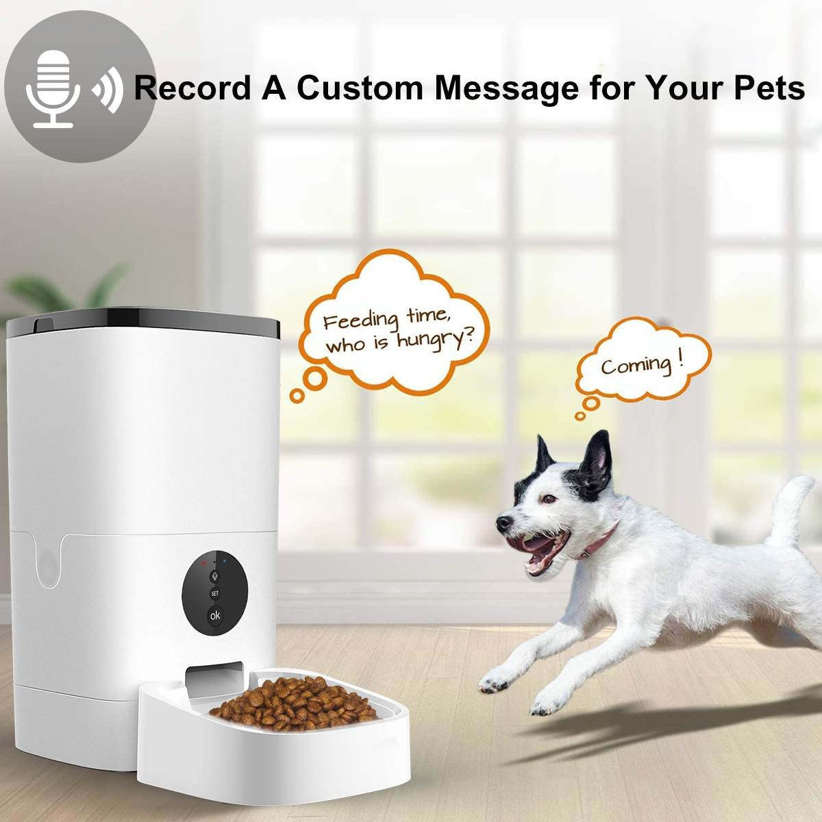 Automatic Pet Feeder Smart-Ziggy Dog Training Collar