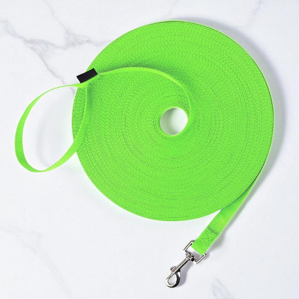 Dog Obedience Recall Training Leash