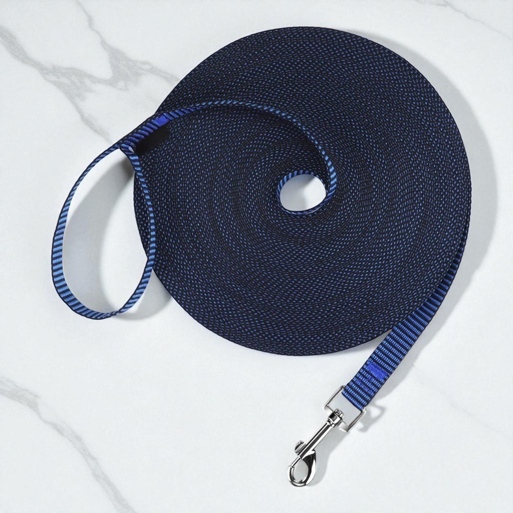 Dog Obedience Recall Training Leash