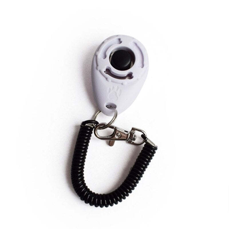 Adjustable Sound Key Chain For Pet-Ziggy Dog Training Collar