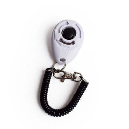 Adjustable Sound Key Chain For Pet-Ziggy Dog Training Collar