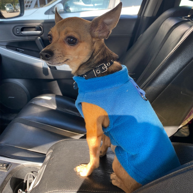 Winters Soft Fleece Jackets For Small Dogs-Ziggy Dog Training Collar