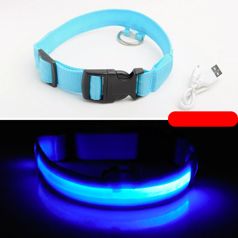 Ziggy LED Dog Collar - USB Rechargeable - Glow In Dark-Ziggy Dog Training Collar