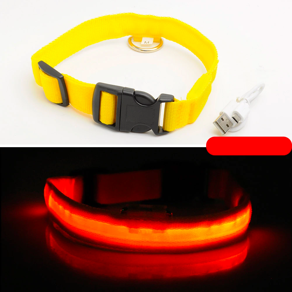 Ziggy LED Dog Collar - USB Rechargeable - Glow In Dark-Ziggy Dog Training Collar