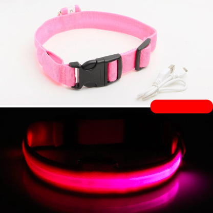 Ziggy LED Dog Collar - USB Rechargeable - Glow In Dark-Ziggy Dog Training Collar