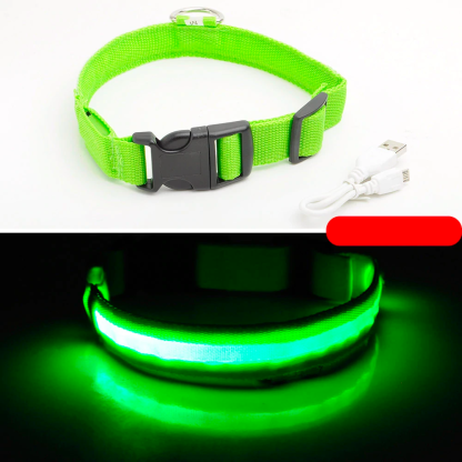 Ziggy LED Dog Collar - USB Rechargeable - Glow In Dark-Ziggy Dog Training Collar