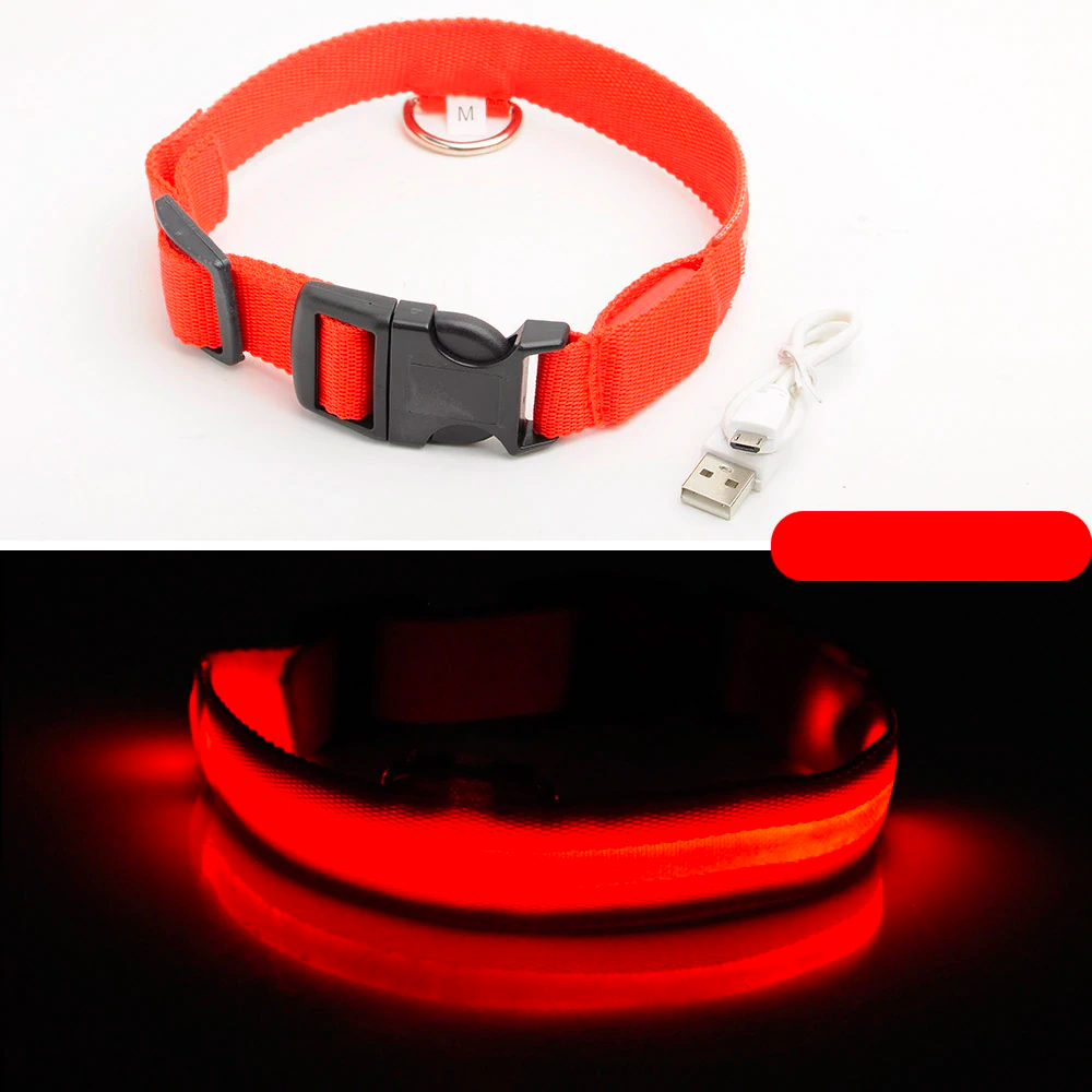 Ziggy LED Dog Collar - USB Rechargeable - Glow In Dark-Ziggy Dog Training Collar