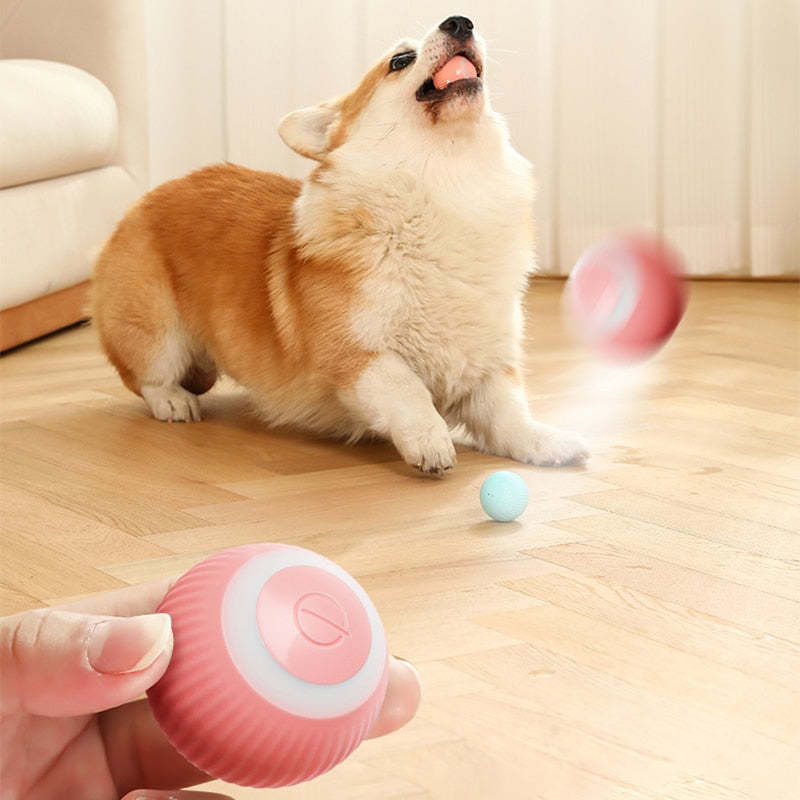 Electric Rolling Ball Pet Toys-Ziggy Dog Training Collar