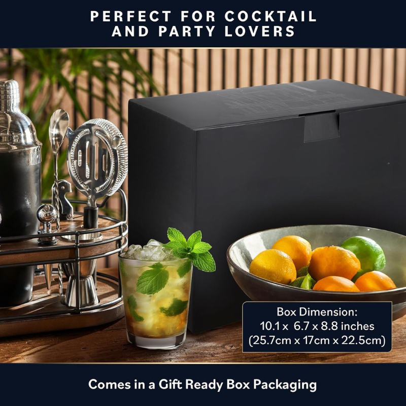 10 Pieces Stylish Design Bartender Kit With Wooden Stand