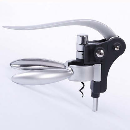 Zinc Alloy Wine Opener-Wine and Whiskey Decanter