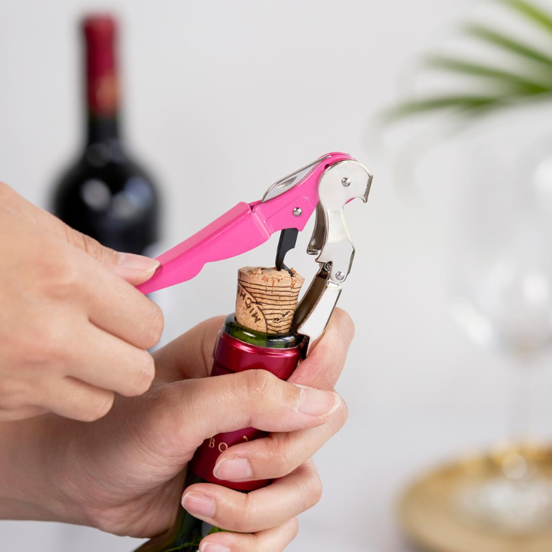 Double Hinged Corkscrew Wine Opener With Stylish Handle
