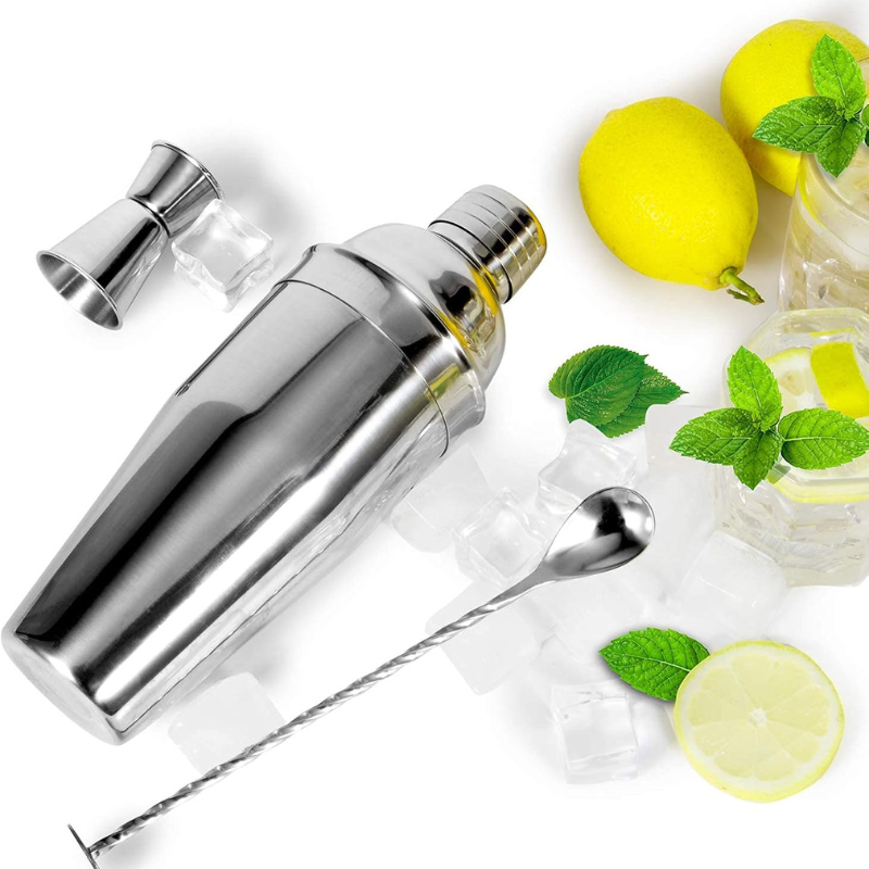 Professional Stainless Steel Cocktail Shaker Complete Bar Kit-Wine and Whiskey Decanter