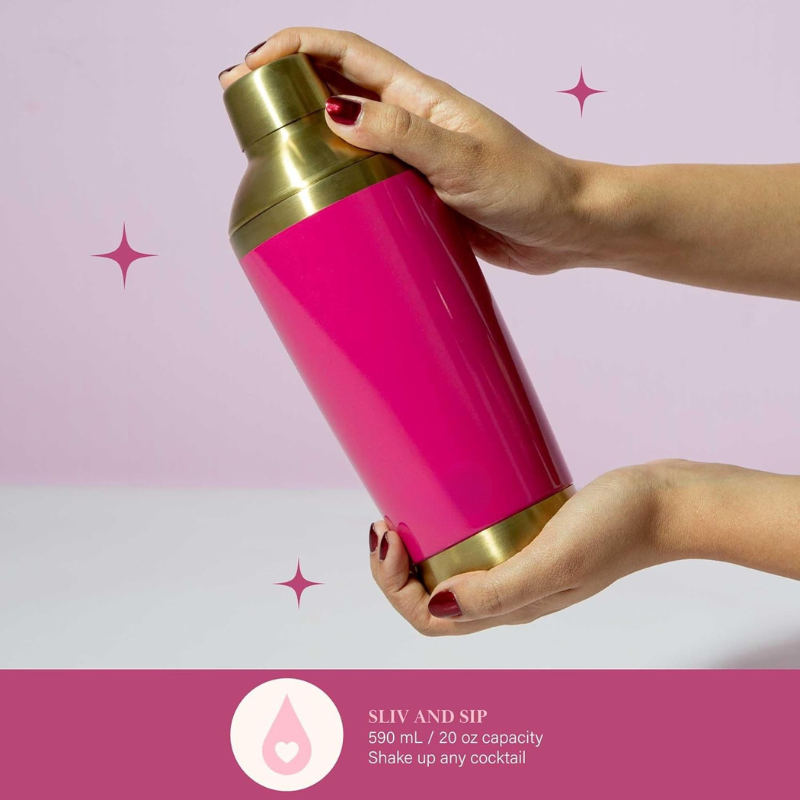 Two Pieces Cocktail Shaker Set With Stylish Bar Tool-Wine and Whiskey Decanter