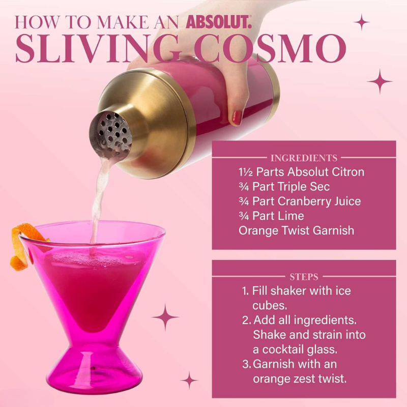 Two Pieces Cocktail Shaker Set With Stylish Bar Tool-Wine and Whiskey Decanter