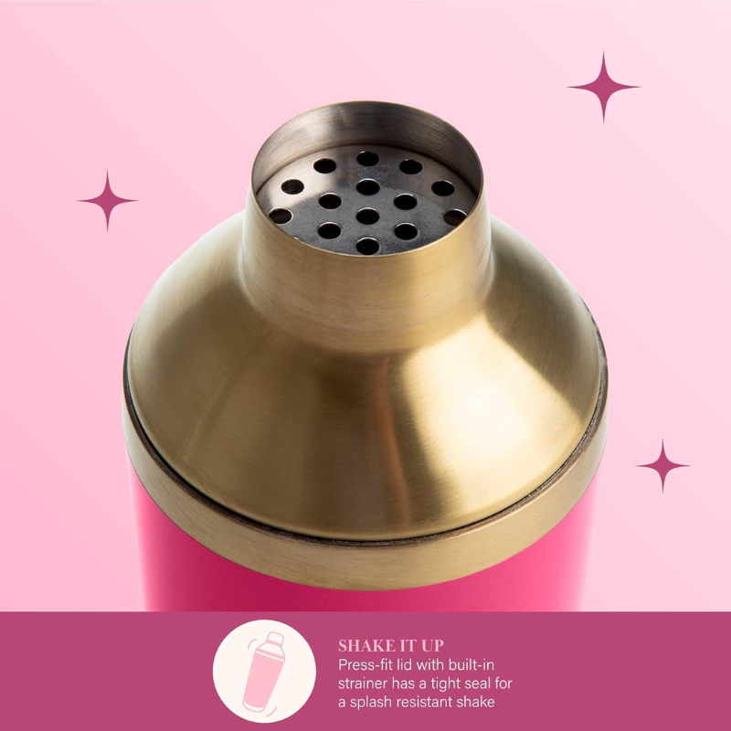 Two Pieces Cocktail Shaker Set With Stylish Bar Tool-Wine and Whiskey Decanter