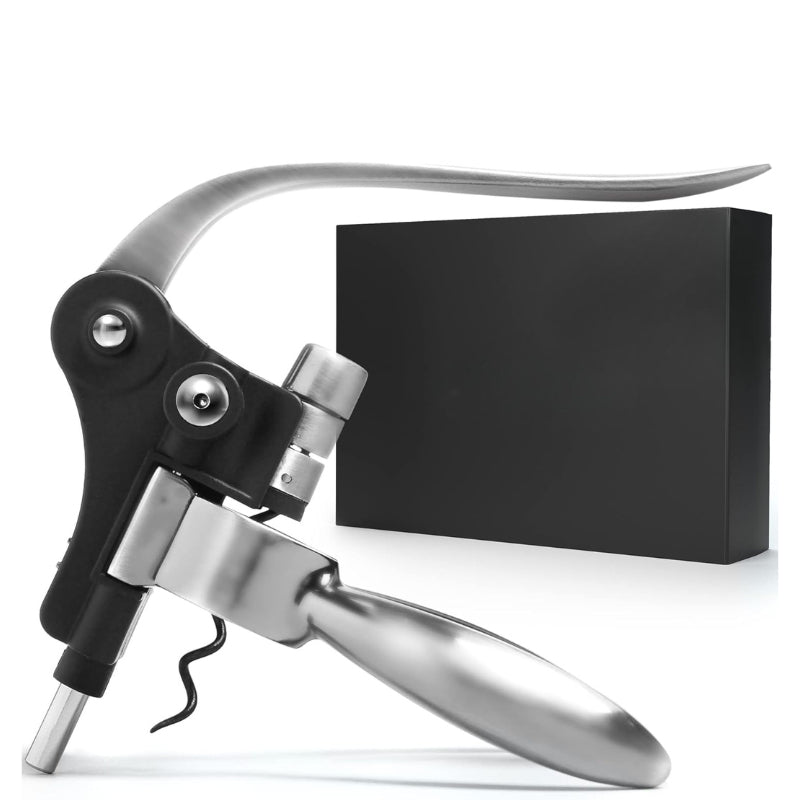 Luxury Wine Bottle Opener Corkscrew Set For Parties-Wine and Whiskey Decanter