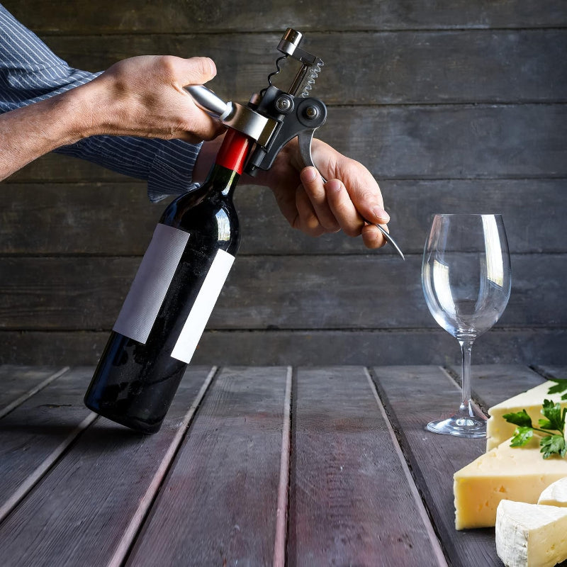 Luxury Wine Bottle Opener Corkscrew Set For Parties-Wine and Whiskey Decanter