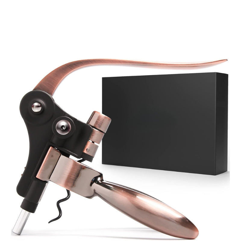 Luxury Wine Bottle Opener Corkscrew Set For Parties-Wine and Whiskey Decanter