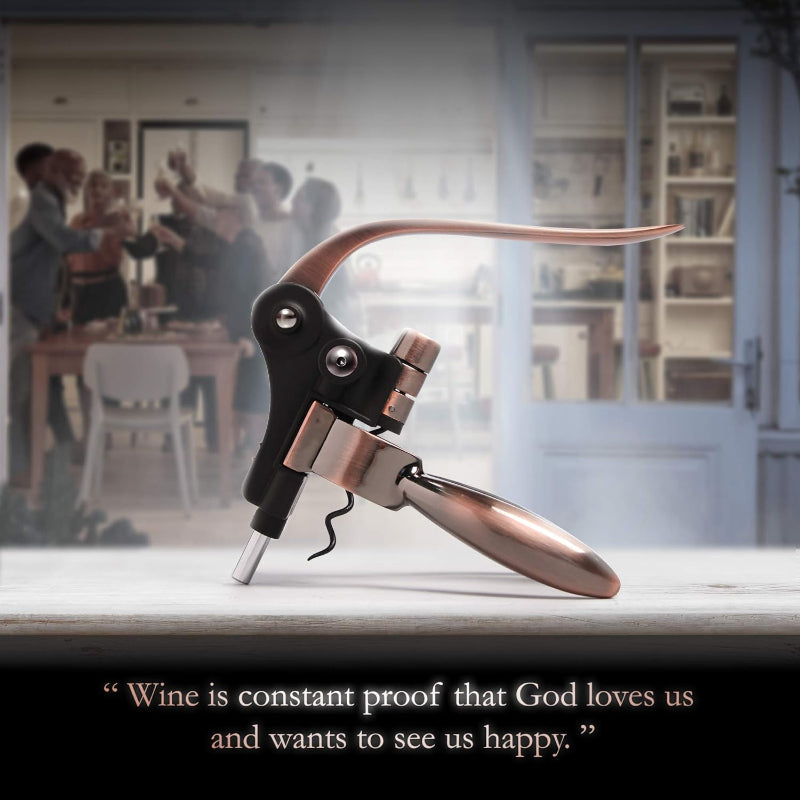 Luxury Wine Bottle Opener Corkscrew Set For Parties-Wine and Whiskey Decanter