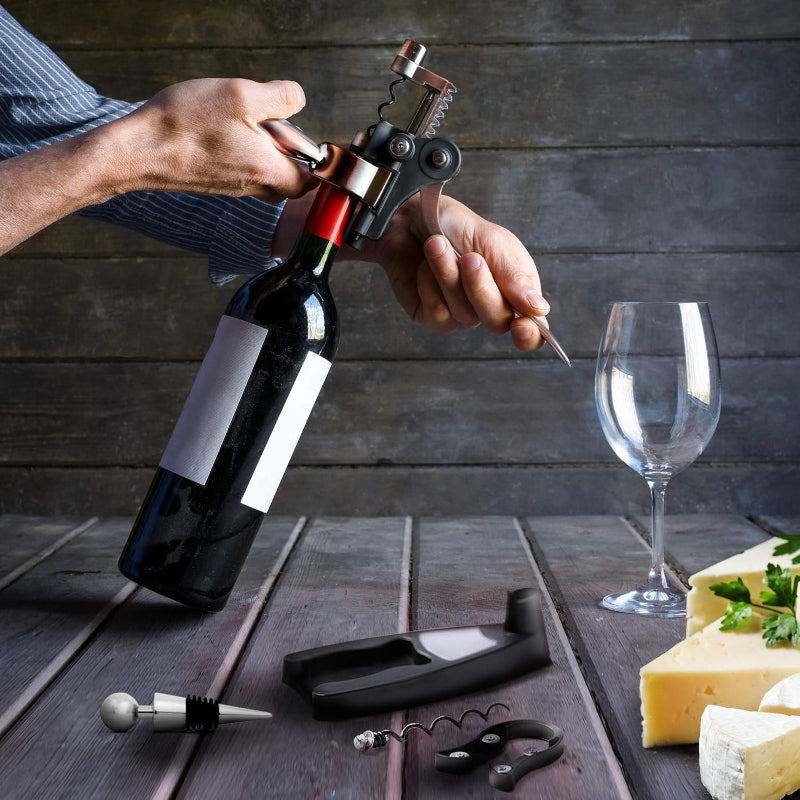 Luxury Wine Bottle Opener Corkscrew Set For Parties-Wine and Whiskey Decanter