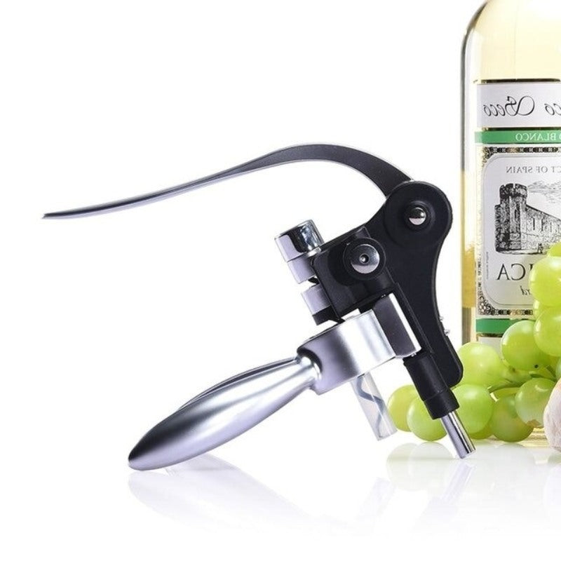 Stainless Steel Bottle Opener-Wine and Whiskey Decanter