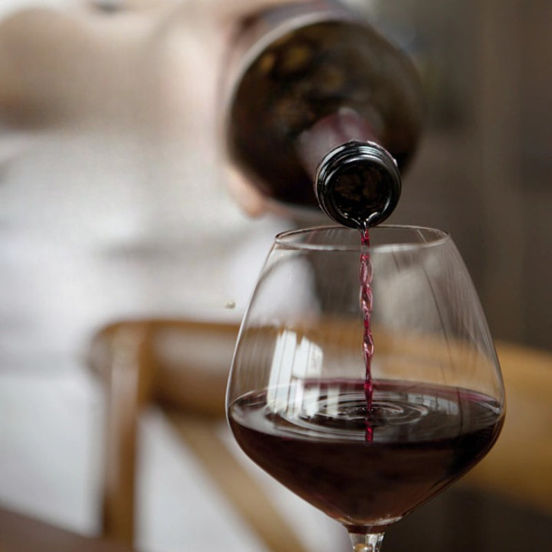 Wine Bottle Vacuum Stopper-Wine and Whiskey Decanter