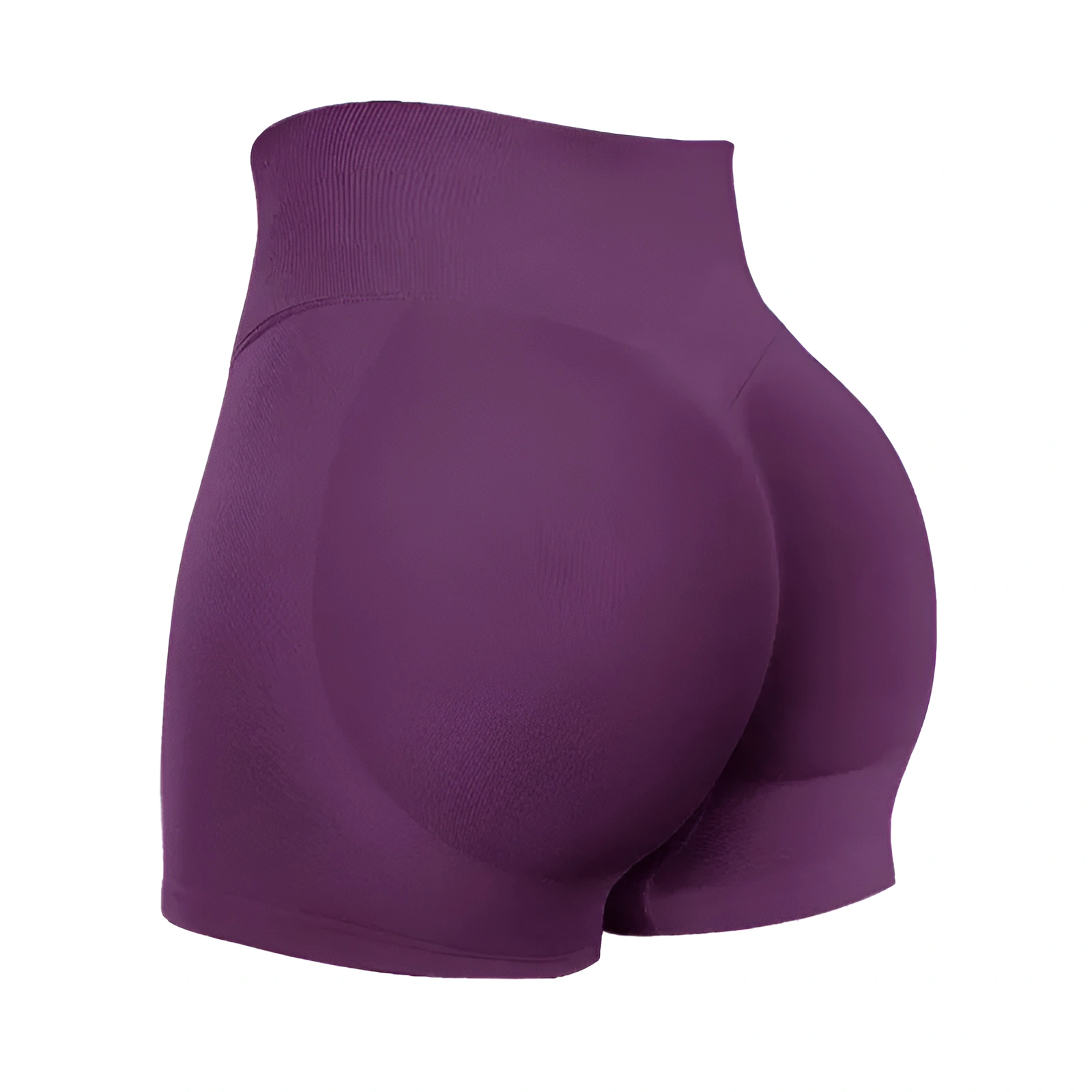 Seamless High Rise Workout Shorts For Women