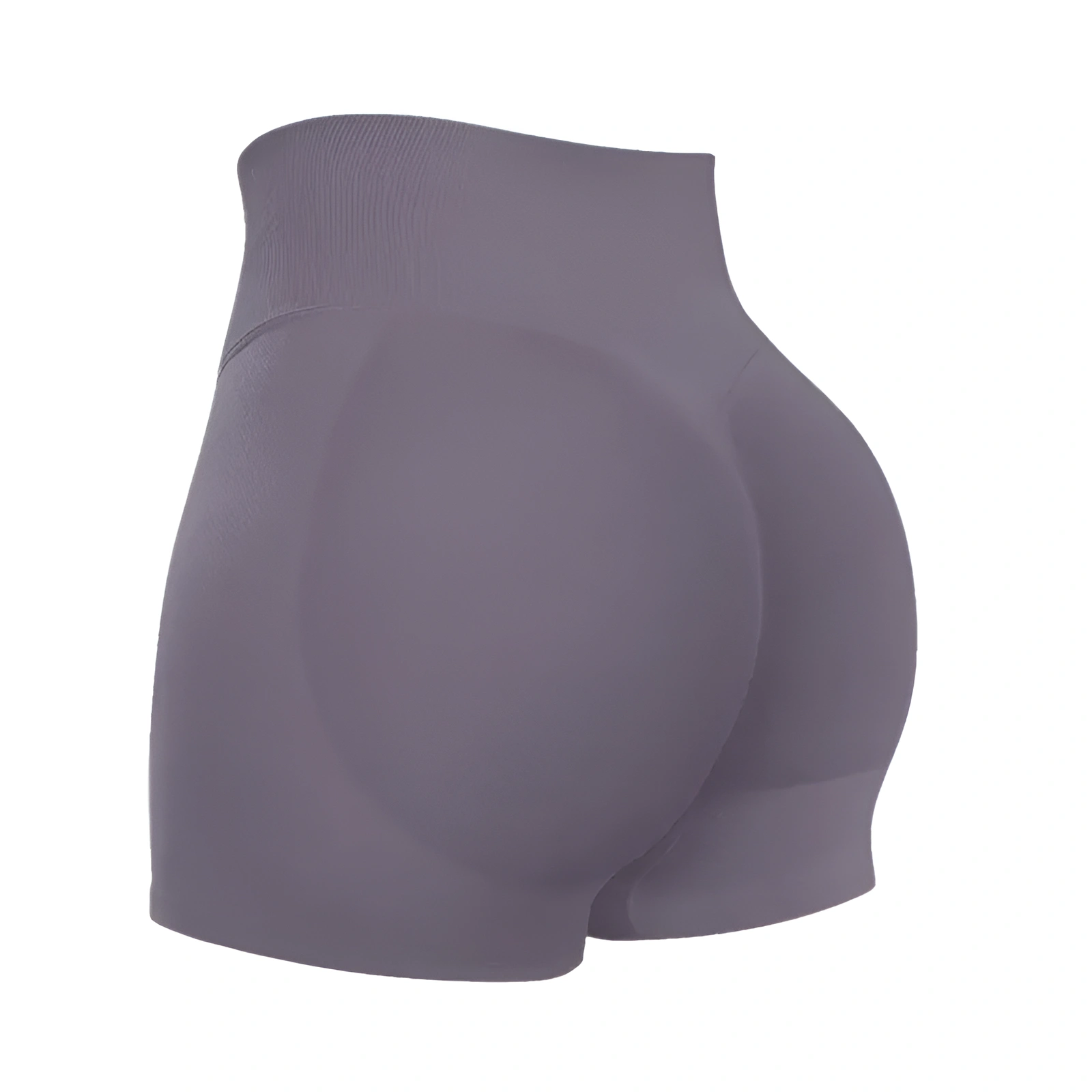 Seamless High Rise Workout Shorts For Women