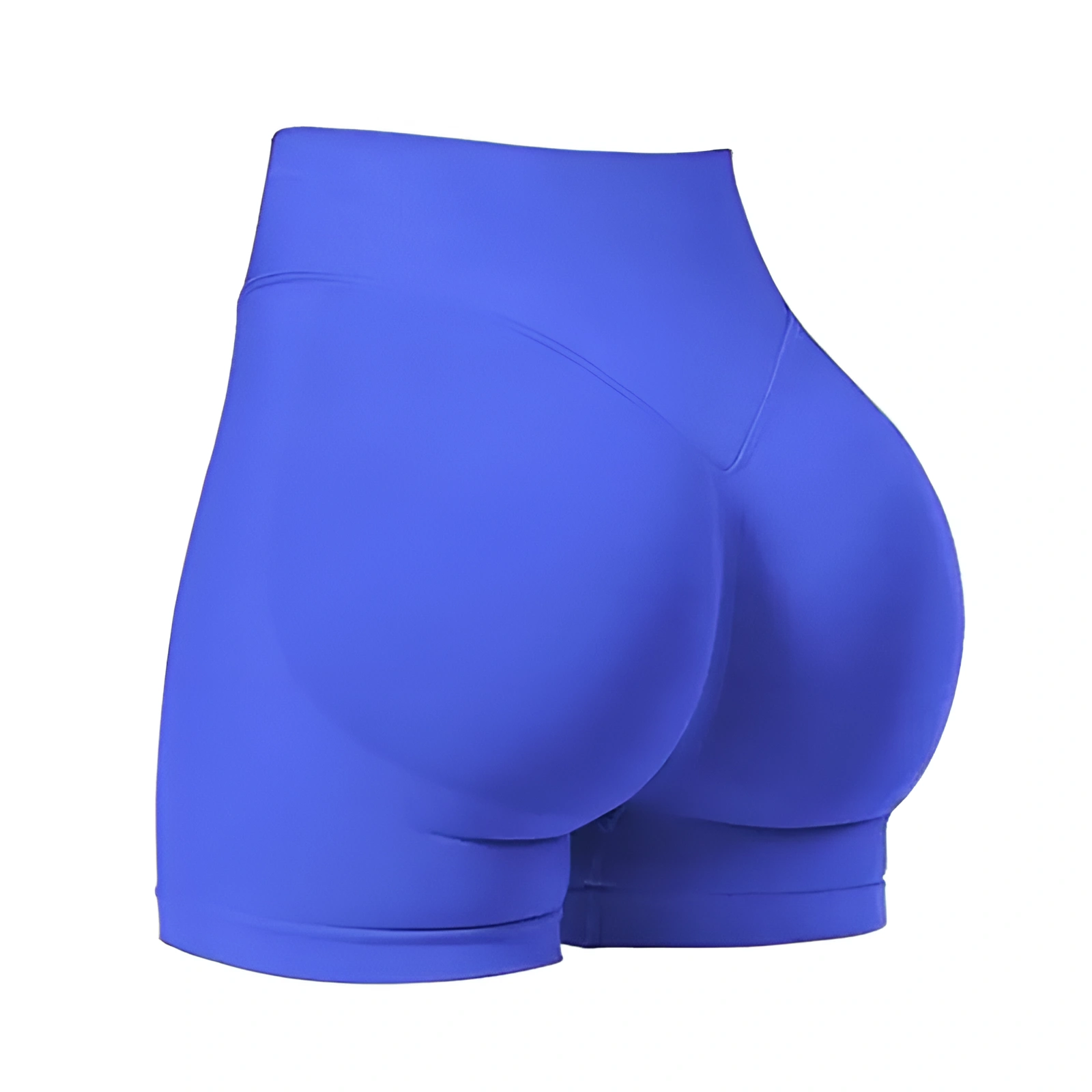 Seamless High Rise Workout Shorts For Women