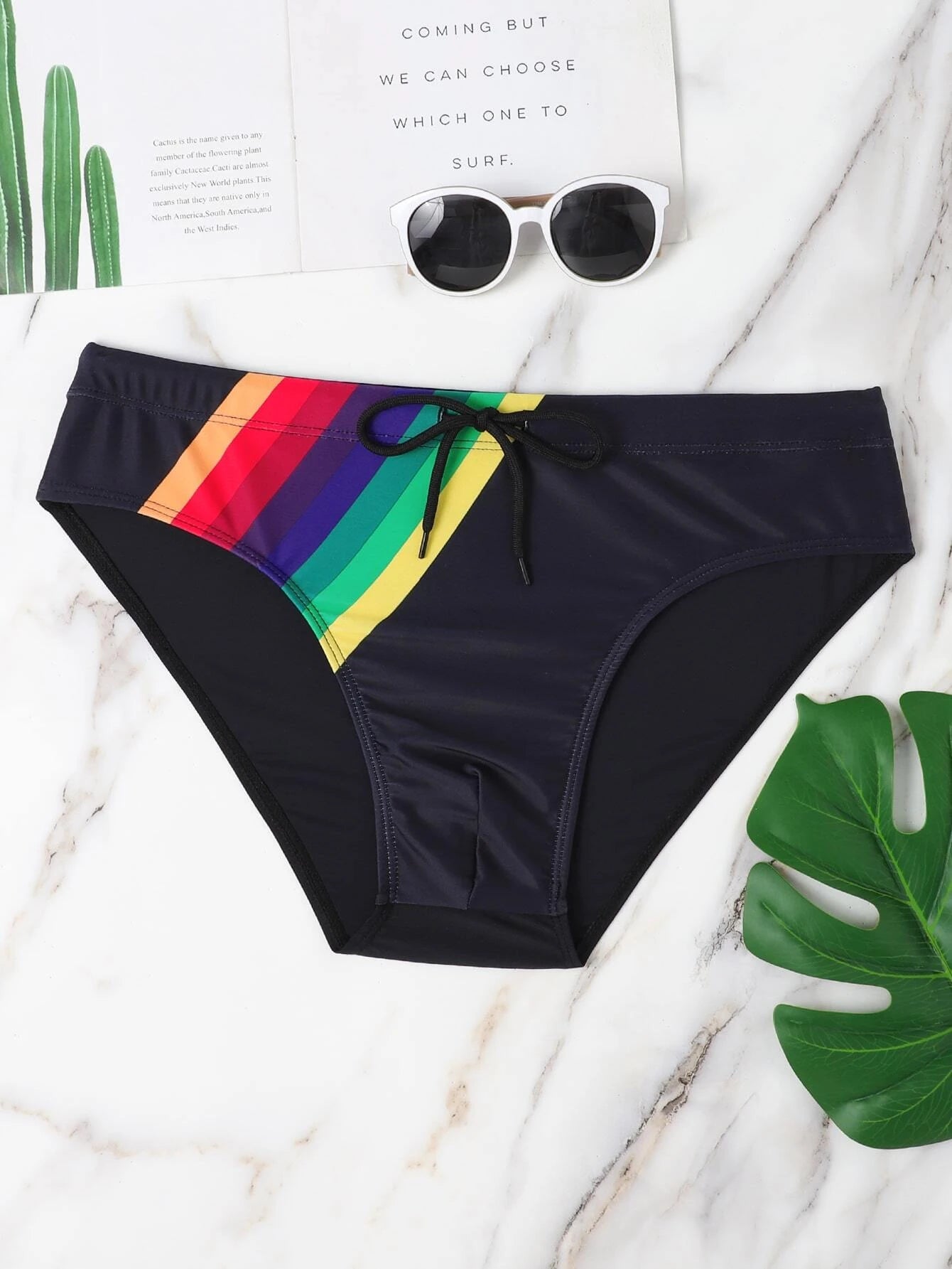 Rainbow Striped Print Swim Brief-Waves And Trunks