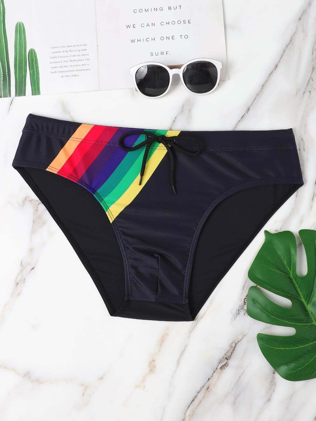 Rainbow Striped Print Swim Brief-Waves And Trunks