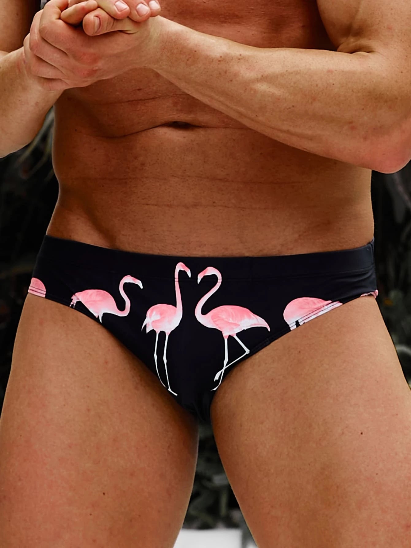 Flamingo Print Swim Brief-Waves And Trunks