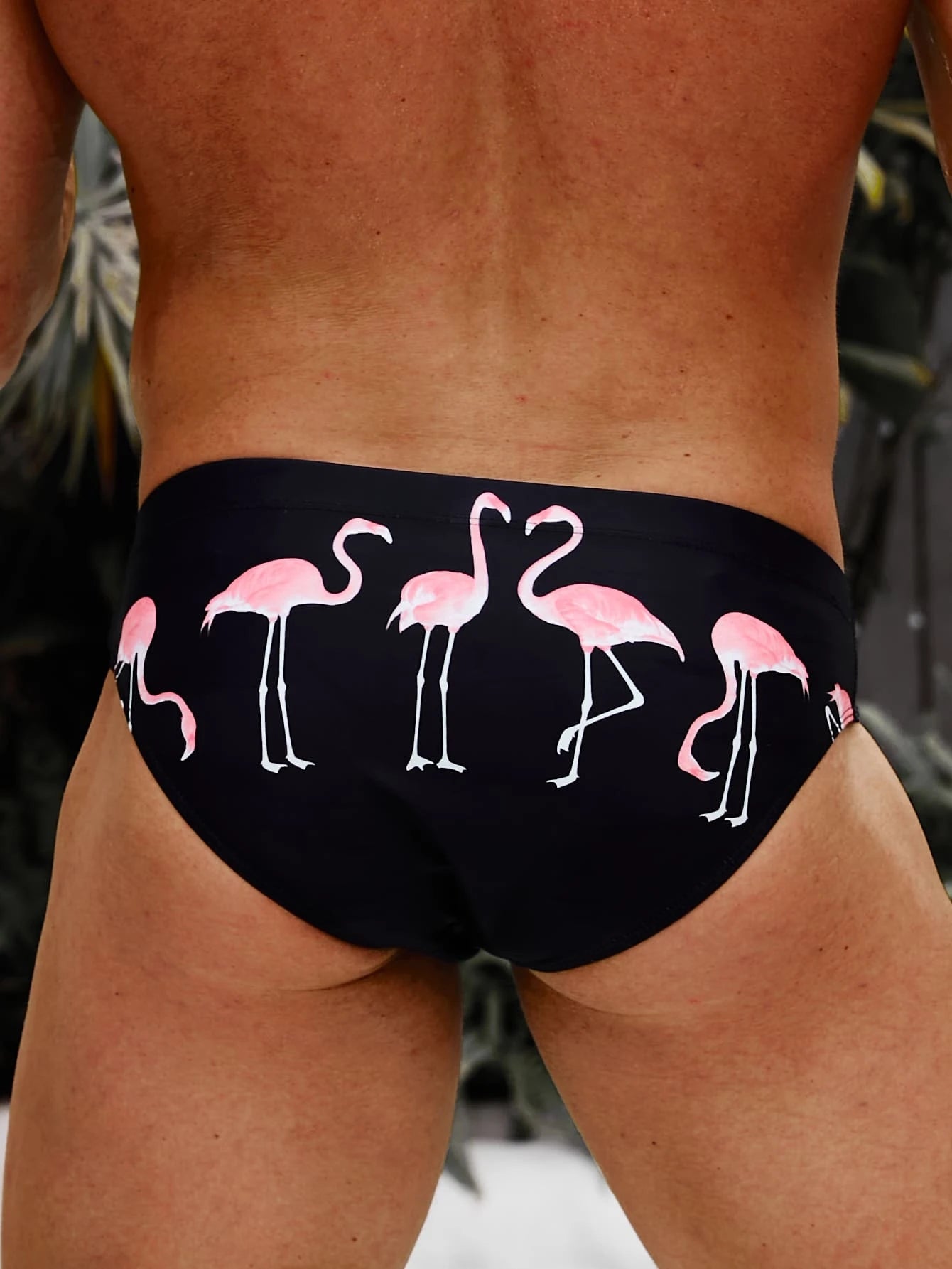 Flamingo Print Swim Brief-Waves And Trunks