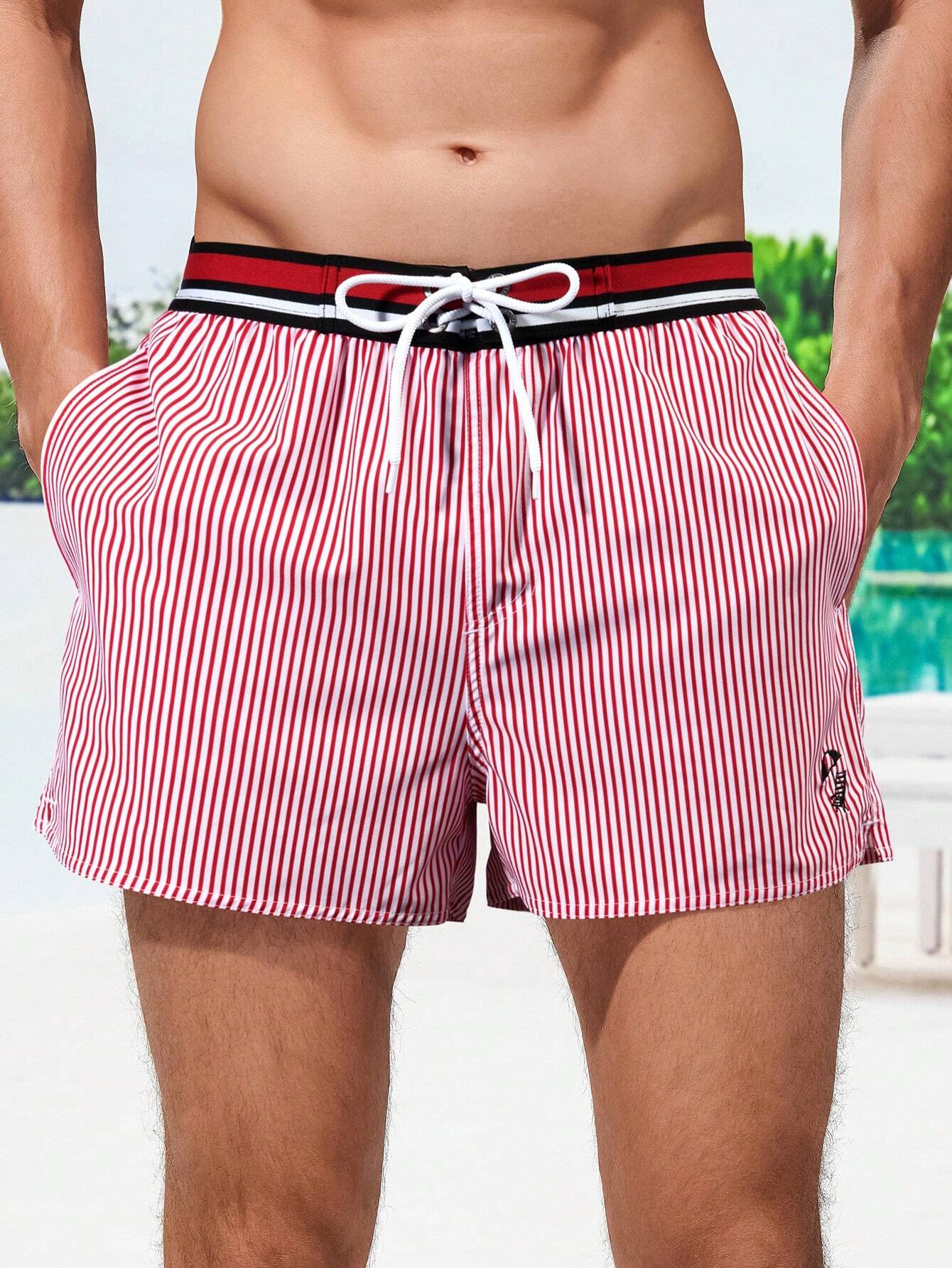 Striped Print Drawstring Waist Swim Shorts-Waves And Trunks